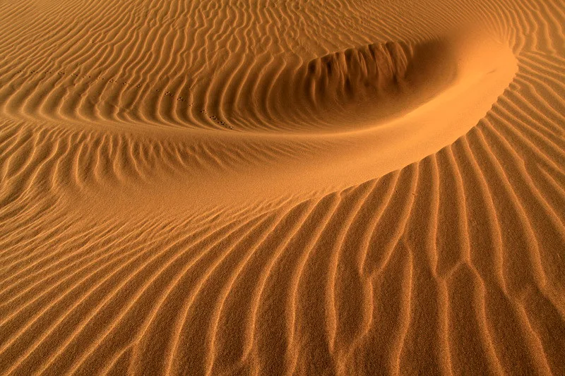 إزالة أكثر من 5 ملايين متر مكعب من الرمال من طرق المنطقة الشرقية