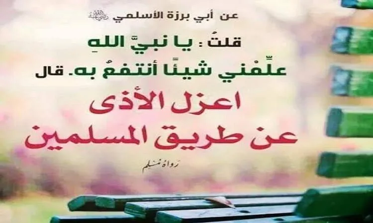 إزالة الأذى من الطريق: عمل بسيط وأجر كبير
