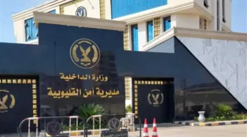 إصابة 3 أشخاص بجروح وكدمات نتيجة مشاجرة في كفر شكر بالقليوبية