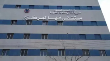 إصابة 7 أفراد جراء انقلاب مركبة فوق كوبري قها في القليوبية
