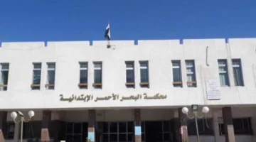 إصدار الحكم النهائي على 8 متهمين في قضية قتل فتاة والتخلص من جثتها في حقيبة سفر داخل سيارة بسفاجا غدًا.