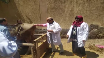 إطلاق حملات علاجية مجانية لدعم المزارعين الصغار في خمس محافظات