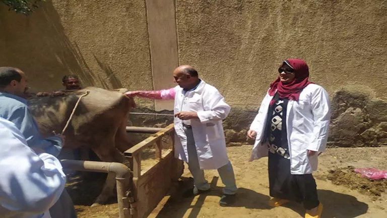 إطلاق حملات علاجية مجانية لدعم المزارعين الصغار في خمس محافظات إطلاق حملات علاجية مجانية لدعم المزارعين الصغار في خمس محافظات