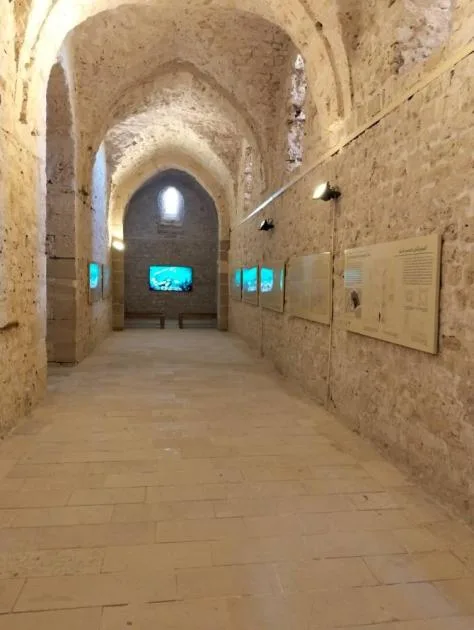 إطلاق مركز الزوار لقلعة قايتباي في الإسكندرية