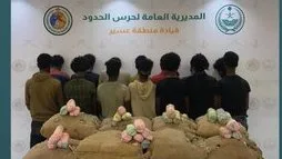 إلقاء القبض على 14 شخصًا بتهمة تهريب 252 كيلوغرامًا من القات في عسير