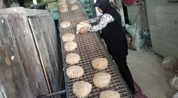 إلقاء القبض على 2 طن من الدقيق المدعوم خلال 24 ساعة في حملة في القاهرة