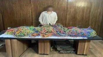 إلقاء القبض على موقوف متخصص في سرقة الكابلات الكهربائية من المشاريع الإنشائية في القاهرة