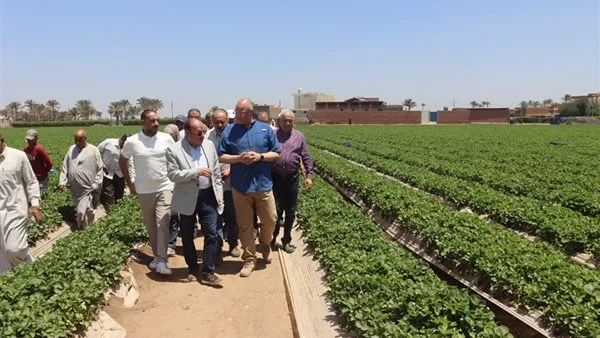 إنجاز ملحوظ: وزارة الزراعة تعلن أن مصر حققت 90% من الاكتفاء الذاتي في إنتاج السكر. إنجاز ملحوظ: وزارة الزراعة تعلن أن مصر حققت 90% من الاكتفاء الذاتي في إنتاج السكر.