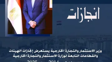 إنجازات وزارة الاستثمار والتجارة الخارجية خلال الفترة من 2014 إلى 2025