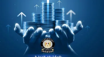 إنفوجرافيك: مصر تتربع على قمة إفريقيا في جذب الاستثمار الأجنبي المباشر لعام 2024