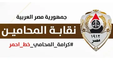 إيقاف محامي المساكنة عن ممارسة مهنته لثلاث سنوات.. وعضو مجلس النقابة يؤكد: المحاماة حصراً للمحامين
