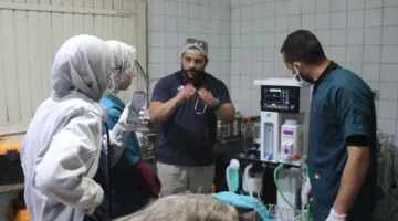 التحالف الوطني لتحسين حديقة الحيوان بالجيزة يستفيد من الخبرات العالمية والمحلية في رعاية الحيوان