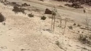 اتهامات بالاحتيال.. متضررون ينبهون من مشروع بلاچ في الساحل الشمالي