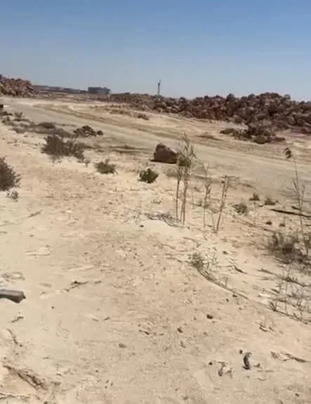 اتهامات بالاحتيال.. متضررون ينبهون من مشروع بلاچ في الساحل الشمالي اتهامات بالاحتيال.. متضررون ينبهون من مشروع بلاچ في الساحل الشمالي