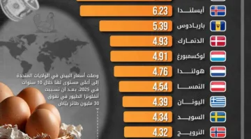 ارتفاع أسعار البيض عالمياً.. وسويسرا تتصدر القائمة