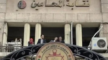 استئناف أمام القضاء الإداري: قرارات مهمة للنقابة حول حكم تعليق الجمعية العمومية الاستثنائية