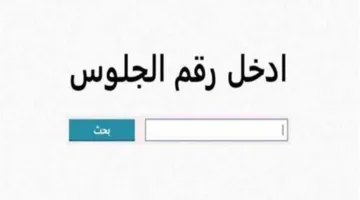 استئناف عملية تصحيح امتحانات الشهادة الإعدادية في المنيا يوم الثلاثاء القادم