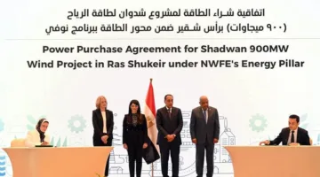 استثمار بقيمة مليار دولار: سكاتك النرويجية تبرم اتفاقية لشراء الطاقة لمشروع شدوان