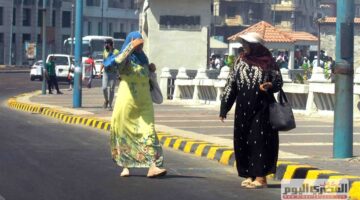استشاري تغذية يقدم نصائح للتعامل مع الحرارة الشديدة (فيديو)
