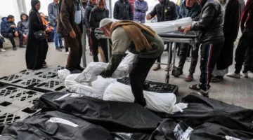 استشهاد 8 فلسطينيين نتيجة إطلاق النار من قبل الاحتلال على طالبي المساعدات غرب رفح.