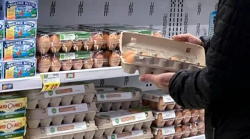 استطلاع: من المتوقع أن يرتفع تضخم أسعار الغذاء في اليابان في يوليو 2025