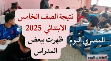 استعلام عن نتائج الصف الخامس الابتدائي 2025، الفصل الدراسي الثاني برقم الجلوس في جميع المحافظات.
