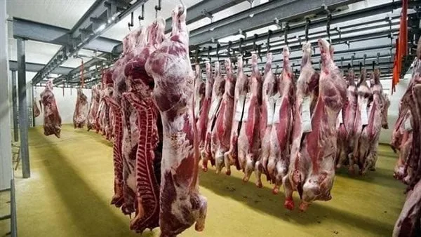 استمرار عمل المجازر في مطروح لاستقبال أضاحي المواطنين دون مقابل استمرار عمل المجازر في مطروح لاستقبال أضاحي المواطنين دون مقابل