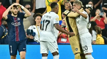 اشتباك حاد بين جمهور باريس وبوتافوغو في المدرجات (فيديو)
