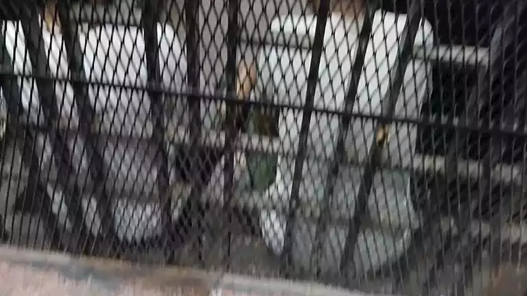 اعتقال مشتبه بهم في قضايا غسيل أموال بقيمة 130 مليون جنيه اعتقال مشتبه بهم في قضايا غسيل أموال بقيمة 130 مليون جنيه