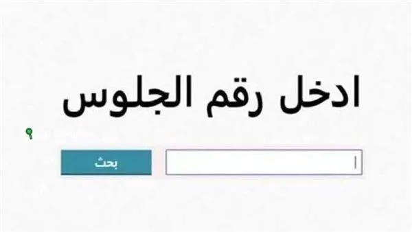 اكتشف الآن.. رابط الحصول على نتائج النقل من الصف الأول الابتدائي حتى الصف الثاني الإعدادي في الجيزة