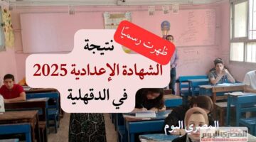 الآن بشكل رسمي.. نتائج الشهادة الإعدادية في محافظة الدقهلية لعام 2025 بنسبة نجاح 90.2% (الرابط الرسمي)