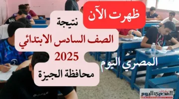 الآن بشكل رسمي: نتائج الصف السادس الابتدائي في محافظة الجيزة باستخدام الرقم القومي بثلاثة طرق مختلفة