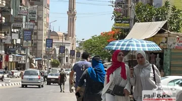 «الأحوال الجوية طوال الأسبوع».. من معتدل إلى شديد الحرارة، والأرصاد تنبه من اضطراب الملاحة والرياح وكثافة الشبورة في المحافظات.