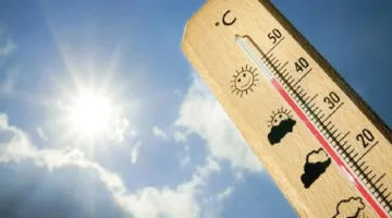 الأرصاد: الأحساء تسجل 44 درجة مئوية كأعلى درجة حرارة والسودة كأدنى