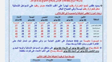 الأرصاد الجوية: توقعات بارتفاع درجات الحرارة غدًا الاثنين مع تحذيرات من تشكل الشبورة المائية