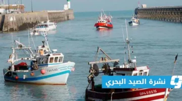 «الأرصاد»: الرؤية واضحة على امتداد الساحل