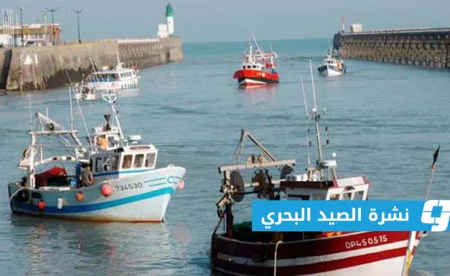 «الأرصاد»: الرؤية واضحة على امتداد الساحل «الأرصاد»: الرؤية واضحة على امتداد الساحل