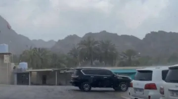 «الأرصاد» تُشير إلى هطول الأمطار في المناطق الشمالية والشرقية واحتمال حدوث ضباب.