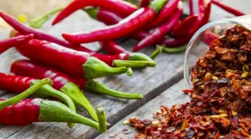 الأطعمة الحارة قد تساعد في تقليل الرغبة في الطعام وزيادة معدل الأيض