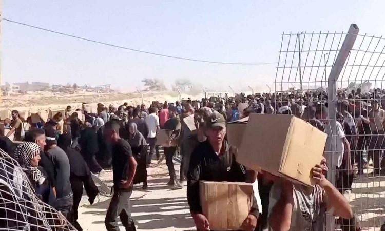 الأمم المتحدة تستنكر هجومًا على المدنيين الذين يبحثون عن الطعام في غزة الأمم المتحدة تستنكر هجومًا على المدنيين الذين يبحثون عن الطعام في غزة