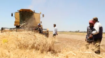 الأمم المتحدة تنبه من خطر جفاف حاد في سوريا يؤثر على الأمن الغذائي