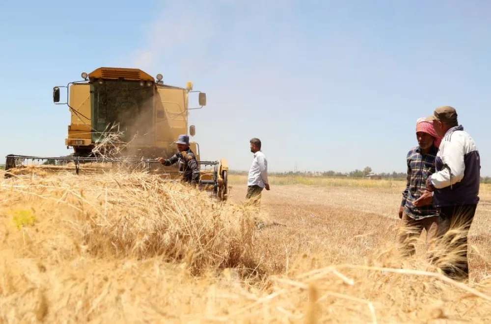 الأمم المتحدة تنبه من خطر جفاف حاد في سوريا يؤثر على الأمن الغذائي