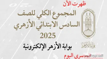 الإجمالي العام للصف السادس الابتدائي الأزهري 2025.. حساب نسبة النجاح المئوية