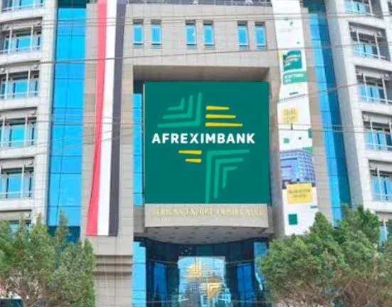 الإفريقي للتجارة الدولية: نقص التمويل التجاري يصل إلى 100 مليار دولار سنوياً