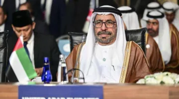 الإمارات: استراتيجيتنا ثابتة في تعزيز السلام والاستقرار ومكافحة التطرف