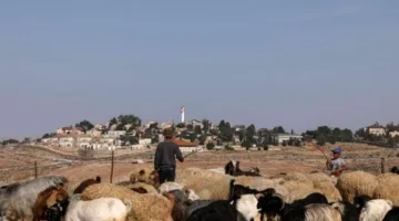 الاحتلال يطرد سائحتيْن من السويد وإيرلندا بسبب تضامنهما مع الفلسطينيين