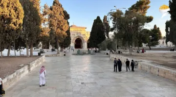 الاحتلال يفتح الأقصى مجددًا مع تدابير أمنية صارمة وأعداد محدودة من الزوار