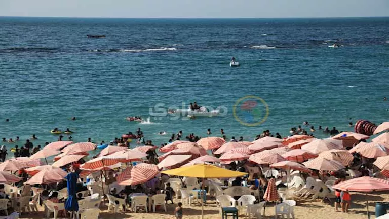 البحر ساكن.. أجواء ربيعية رائعة في اليوم الثالث من العيد في الإسكندرية – صور البحر ساكن.. أجواء ربيعية رائعة في اليوم الثالث من العيد في الإسكندرية – صور