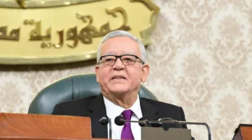 البرلمان يوافق على ملحق للاتفاقية بين مصر والإمارات حول تجنب الازدواج الضريبي ومكافحة التهرب الضريبي