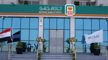 البنك الأهلي يعلن عن برنامج لتقليل استهلاك الكهرباء في فروعه